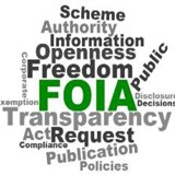 Freedom openness information authority scheme