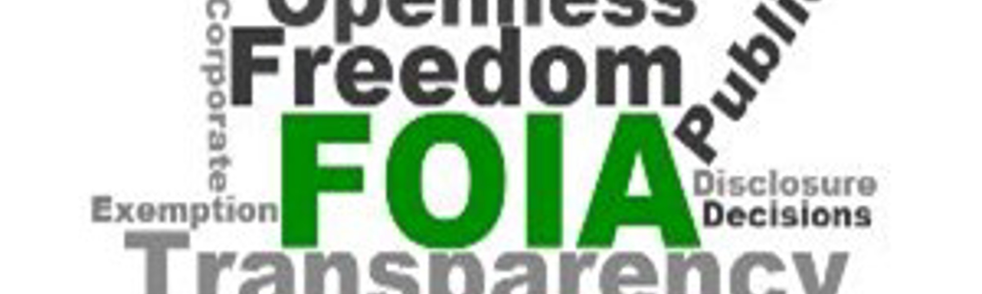 Freedom openness information authority scheme